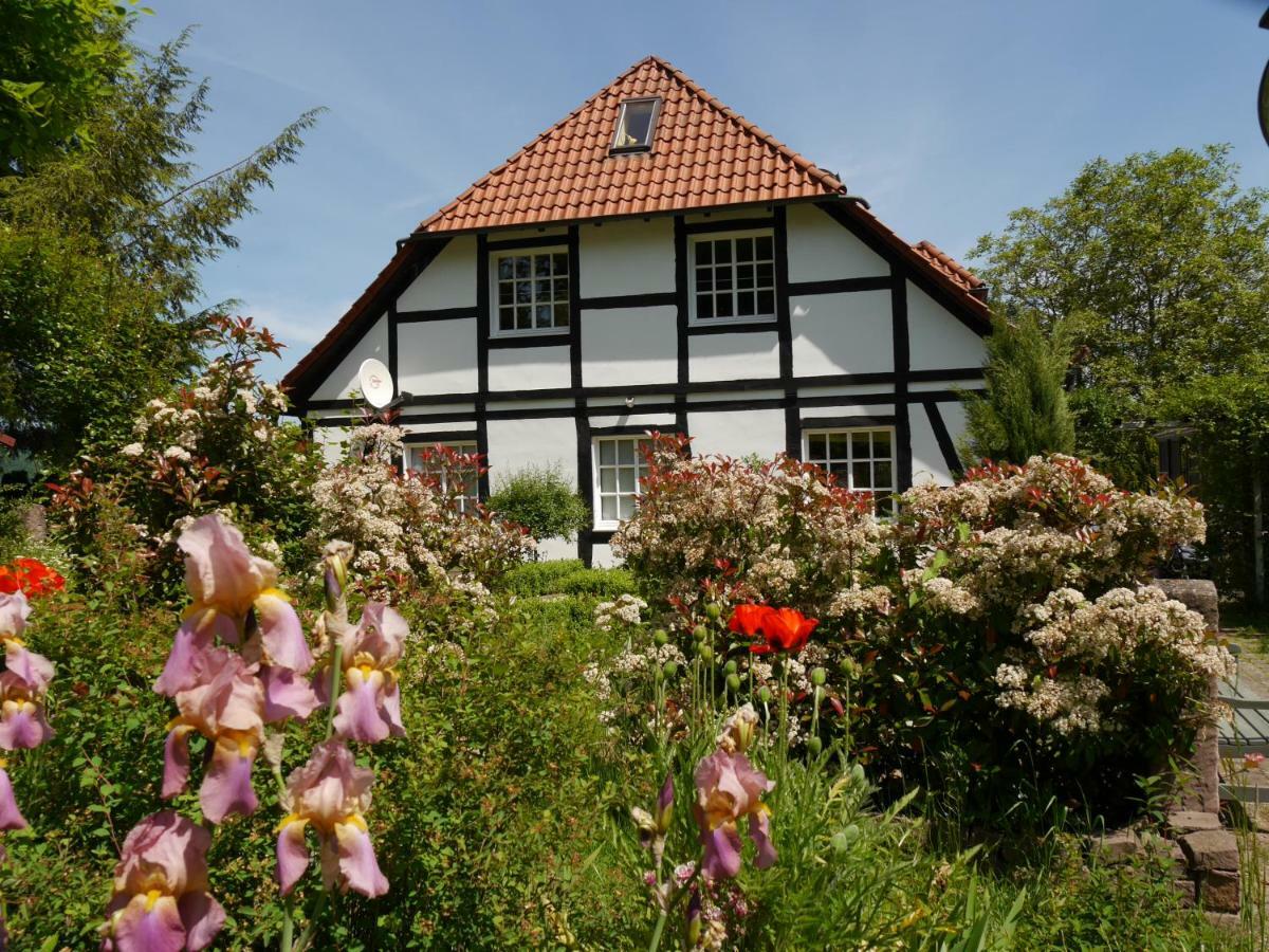 Ferienwohnung Weserblick Polle المظهر الخارجي الصورة